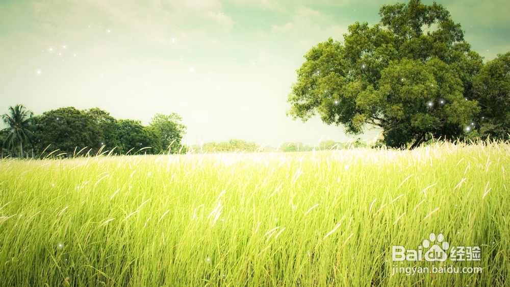 经济信息资源开发与利用：[35]复习总结三十五