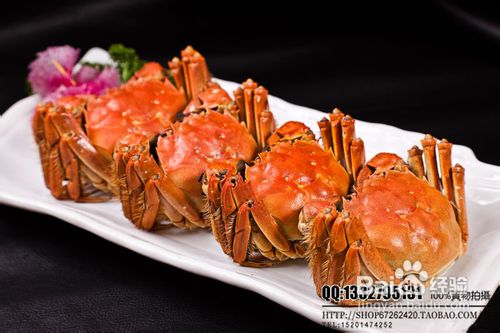 “苏澄”牌阳澄湖大闸蟹