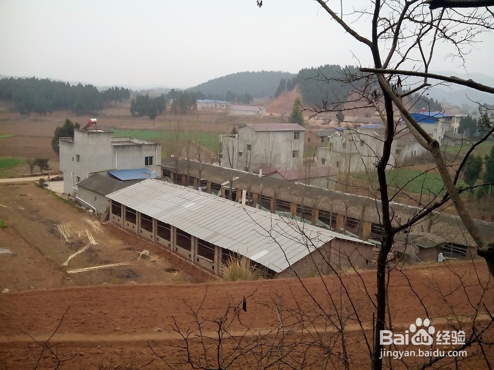 2016年春节回家过年历程