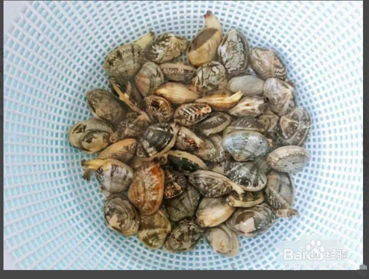 花蛤怎么去沙彻底