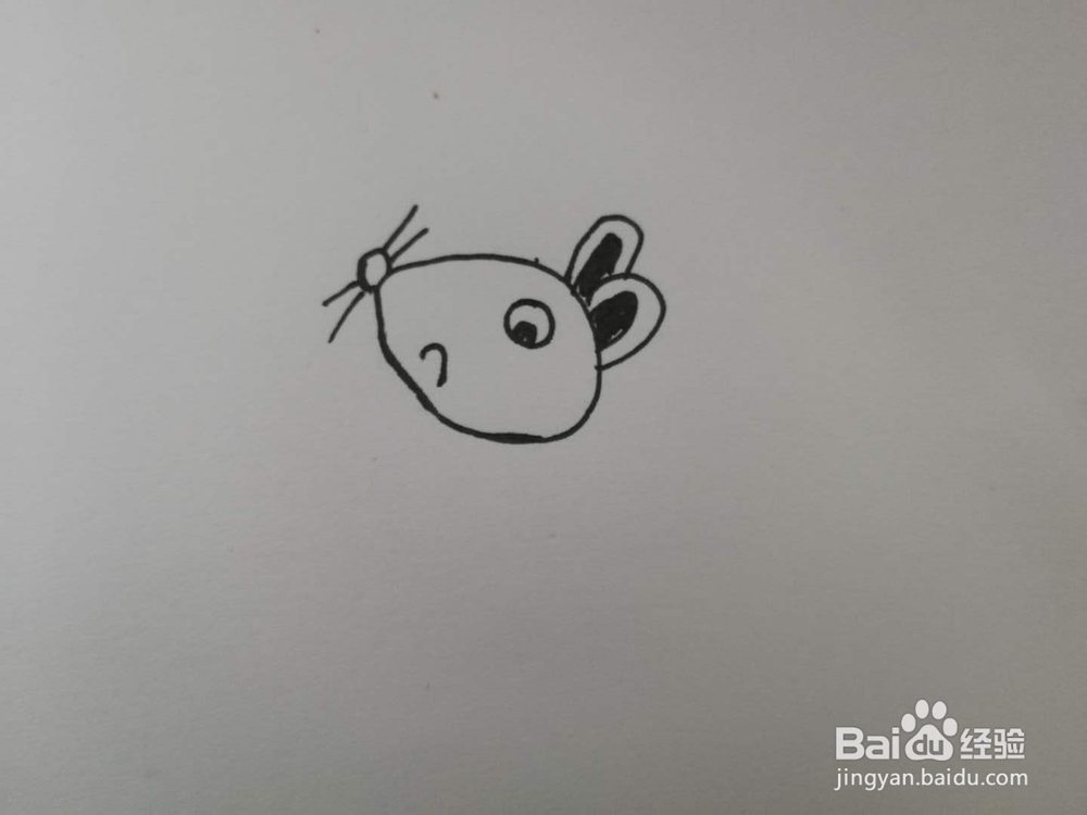 简笔画调皮的小老鼠