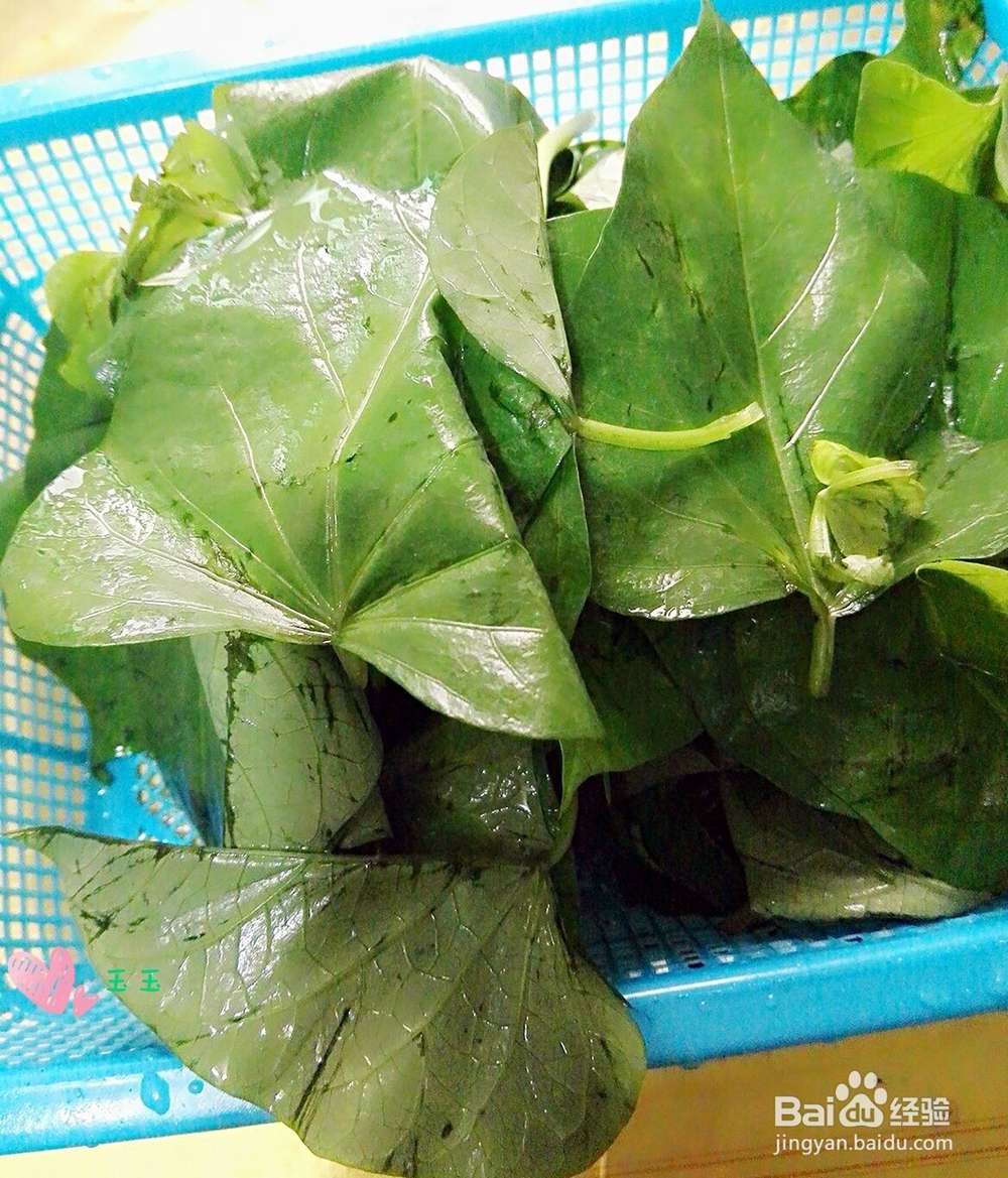 别看我丑但是我用处蛮大----素炒红薯叶