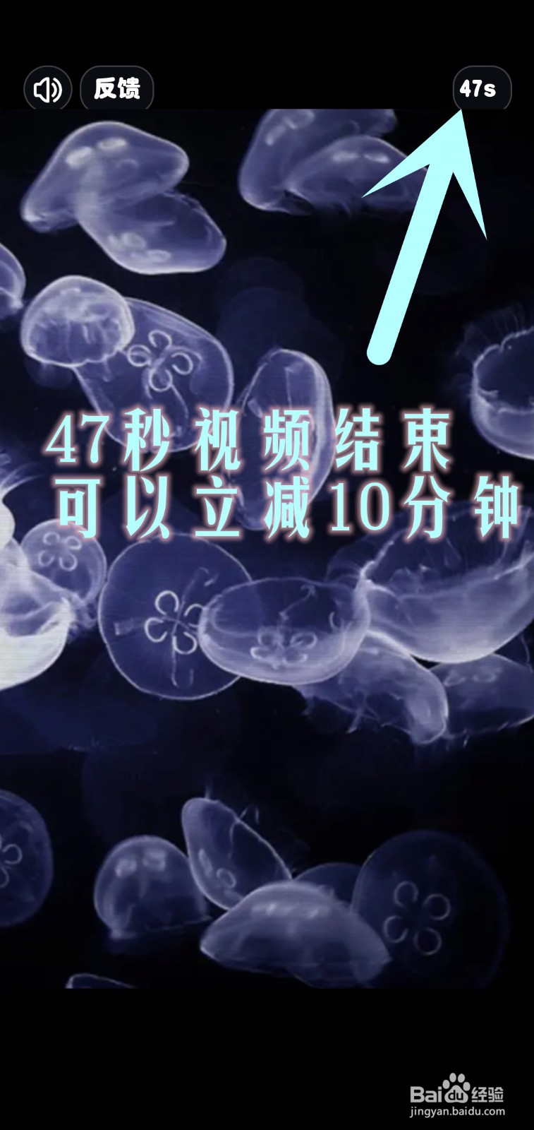 奶奶的小花圃游戏怎么加快作物花朵成熟