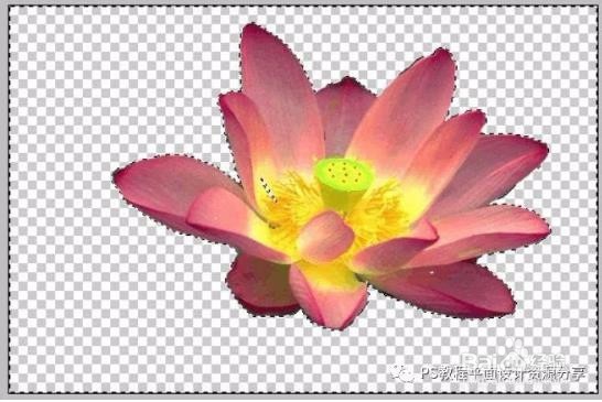 PhotoShop快速蒙版的应用实例教程