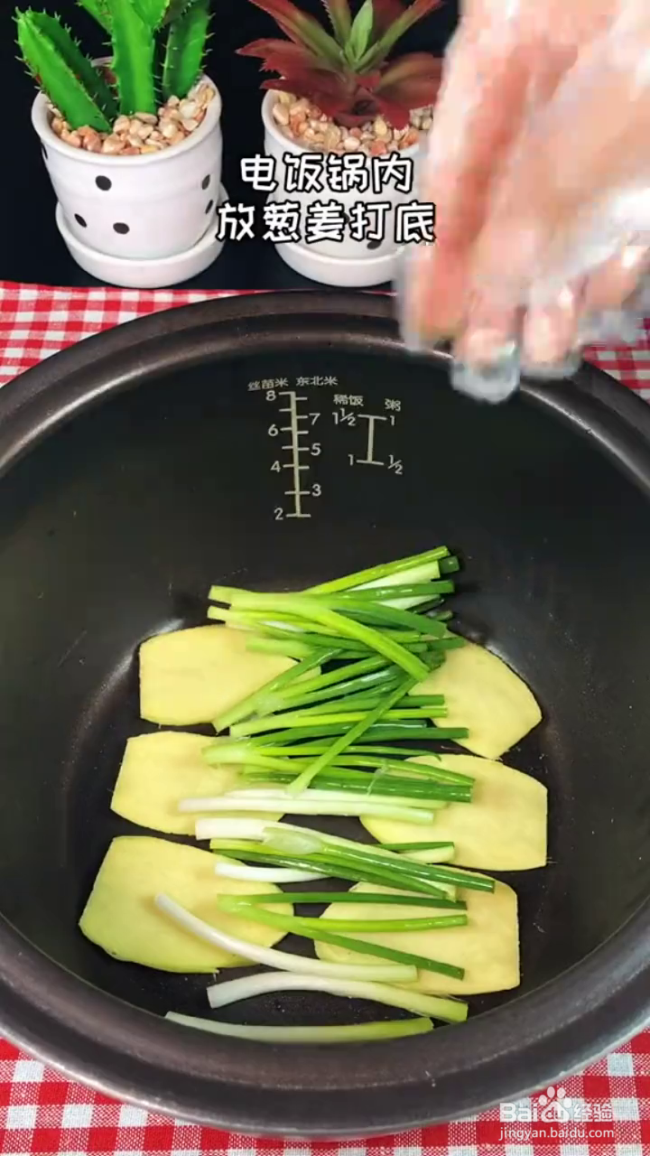 如何制作好吃的电饭煲盐焗鸡？