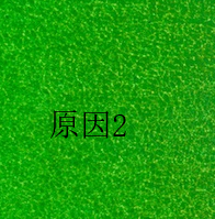 墙面掉灰怎么处理