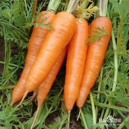 怎么使视力变好