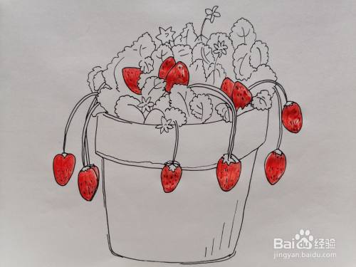 一盆草莓用水彩怎么画