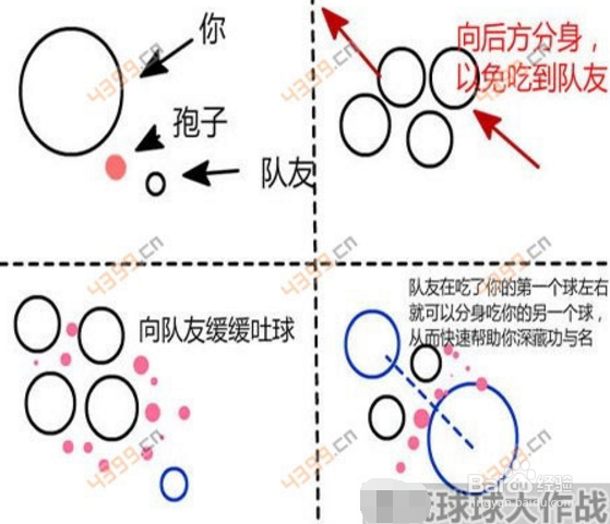 球球大作战：怎么合作，合作刷球技巧详解