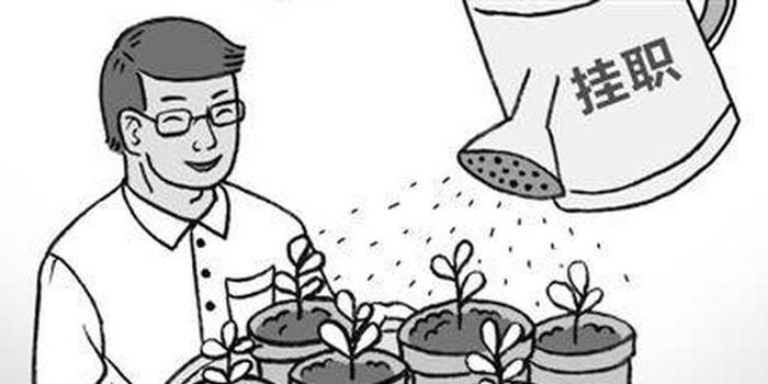 领导干部挂职和试用有什么区别