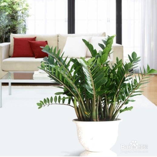 选购母婴空气净化器应该注意哪些？