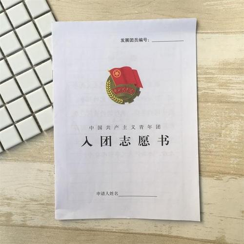 抄入团申请书后果是什么