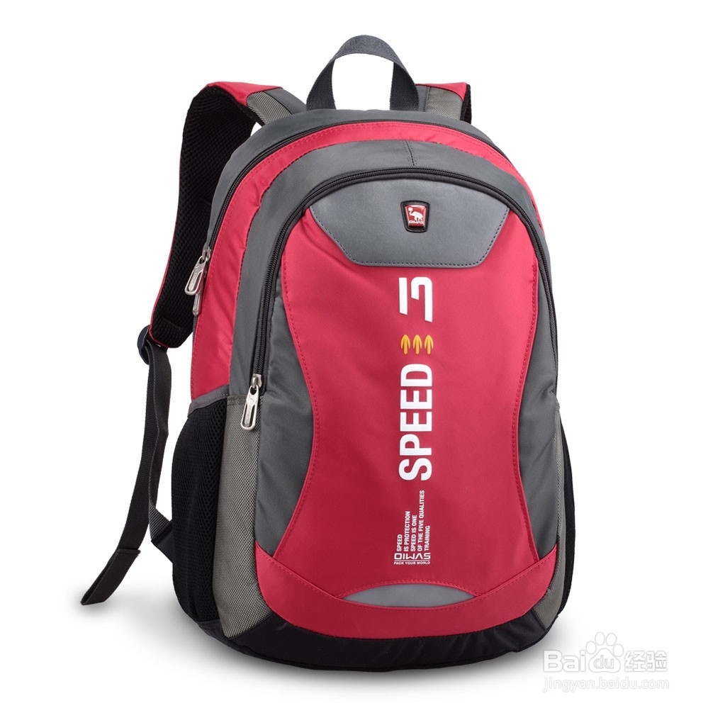 实用的秋游清单