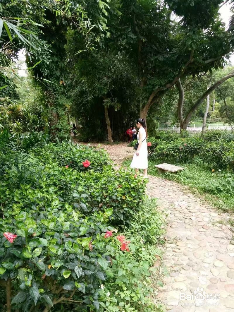 2020年跨年怎样发朋友圈