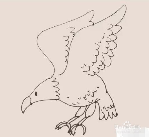 伴儿成长简笔画系列-怎样画老鹰简笔画