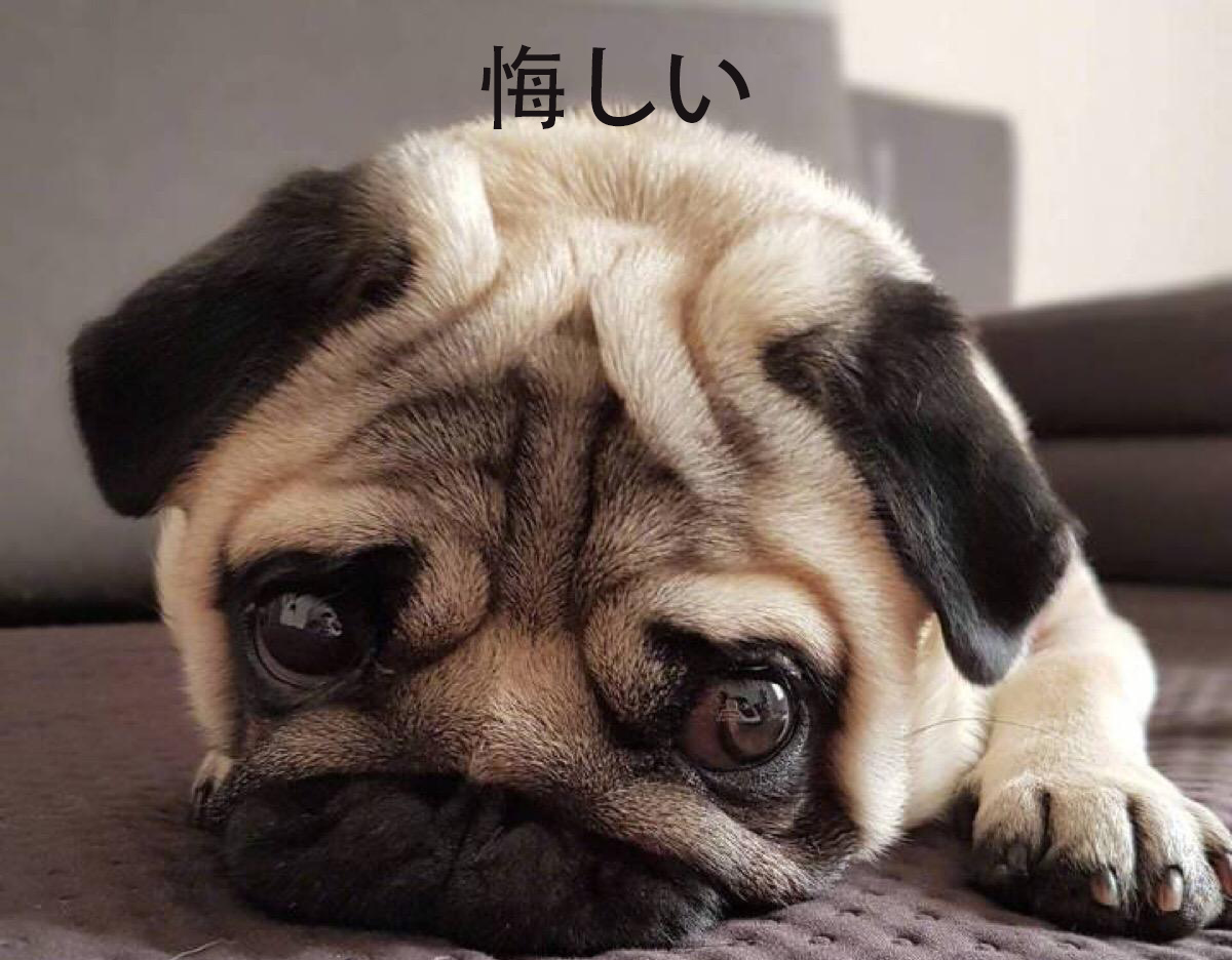委屈用日文怎么说