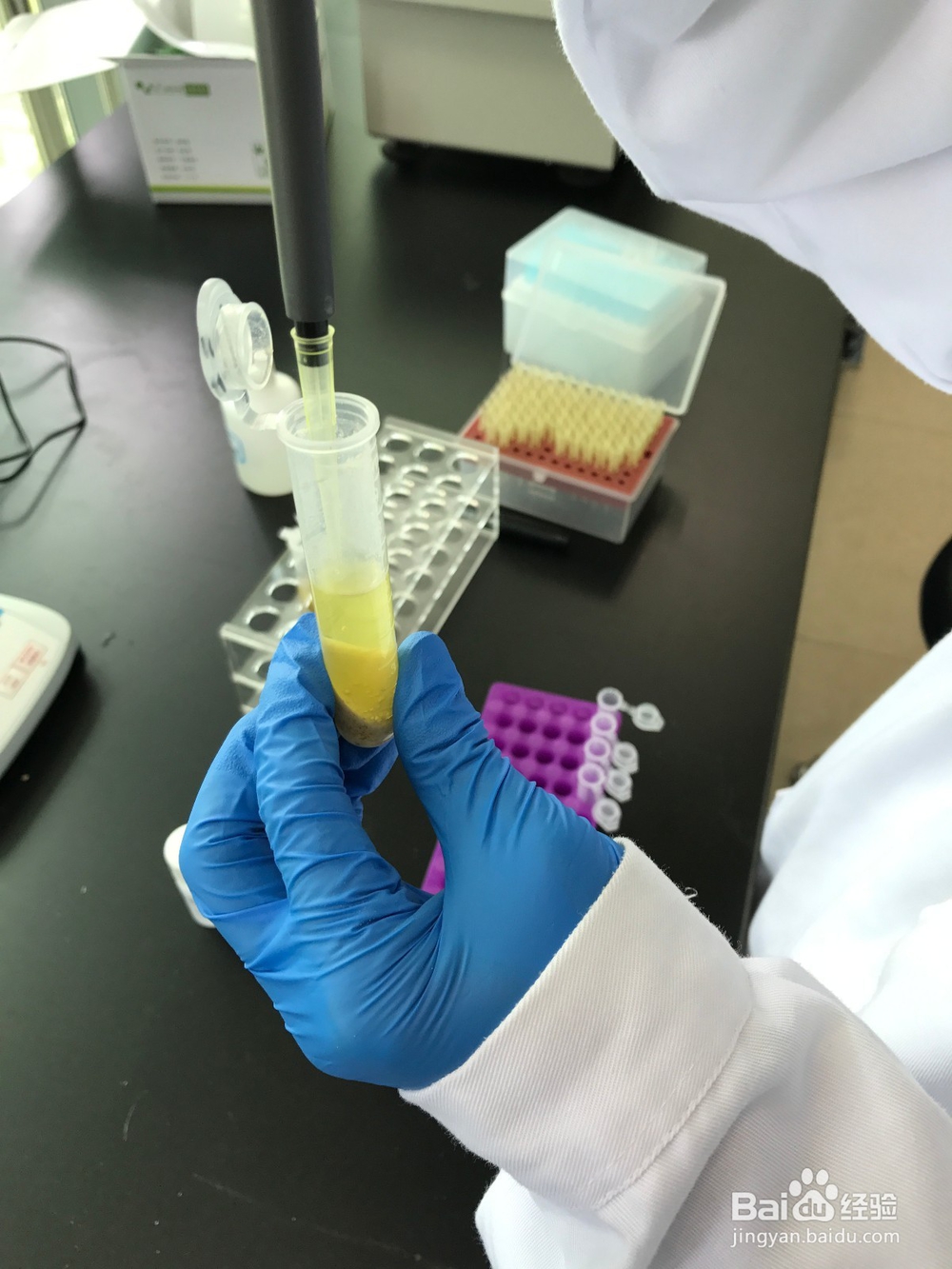 花生油等植物油中黄曲霉毒素B1快速定量检测操作