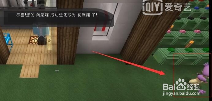 我的世界神奇宝贝向尾喵怎么进化