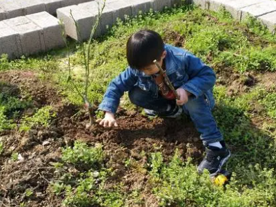 幼儿园户外活动有哪些