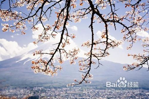 日本语基础学习入门