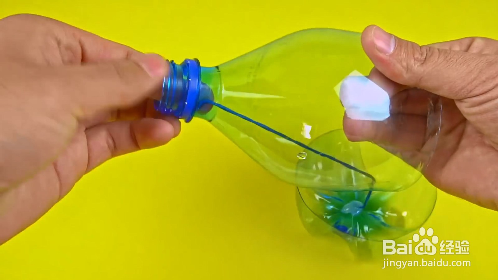 如何给小猫制作好玩的投食器？