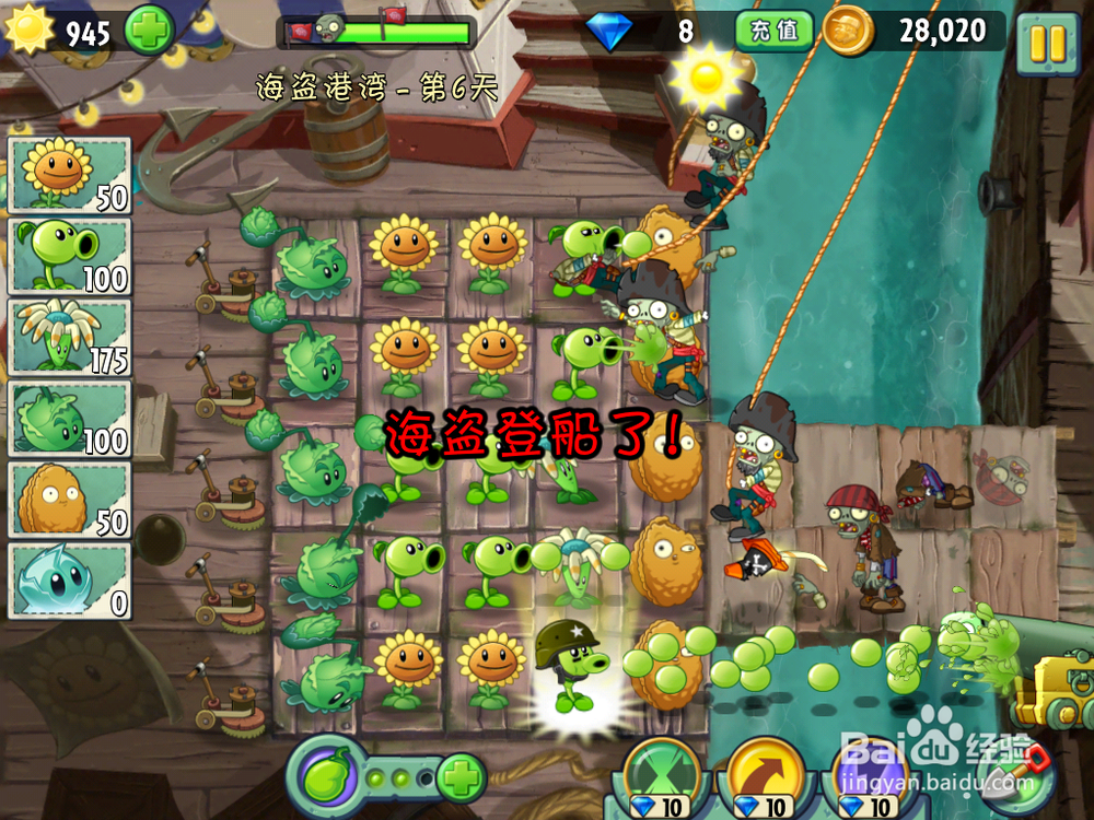 植物大战僵尸2 海盗港湾 第六天