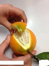 如何快速剥橙子剥橙神器水果削皮器怎么用