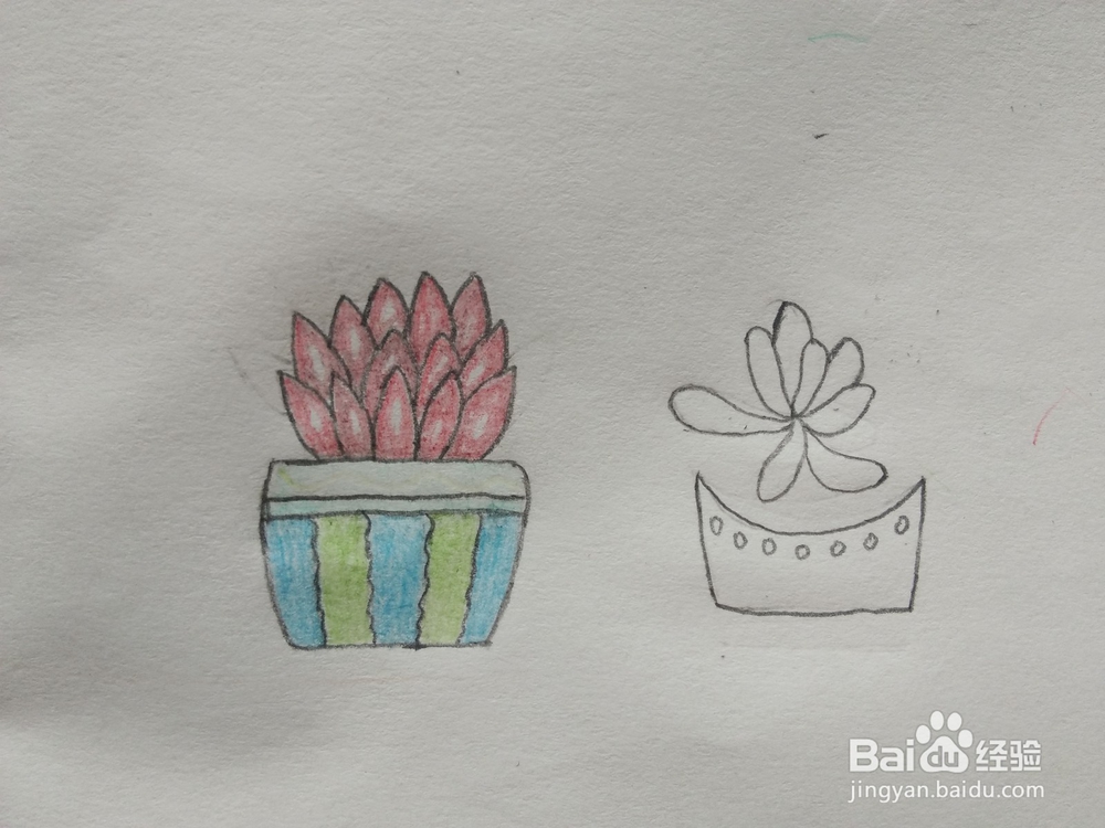 简笔画——怎么画多肉盆栽