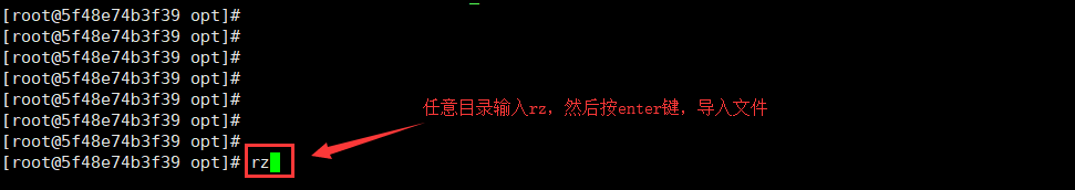 Linux如何导入与导出文件（实践整理）