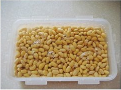 排骨海带酱黄豆