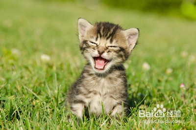 怎样提高工作效率