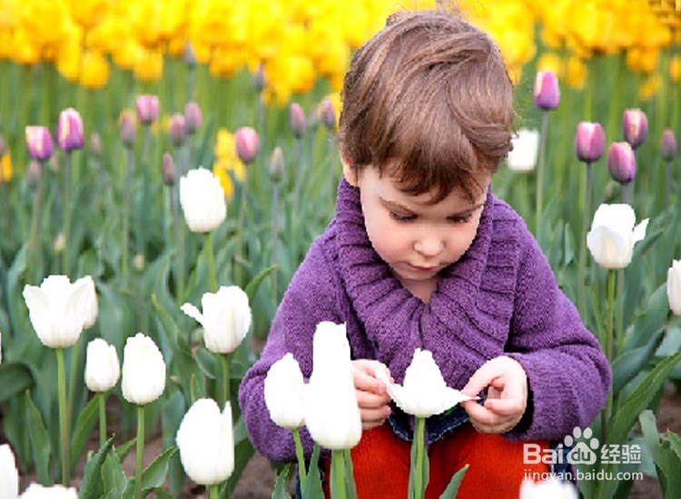 如何培养幼儿对色彩的感知能力？