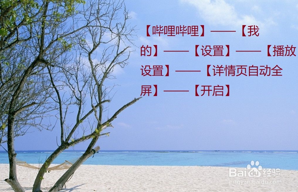 哔哩哔哩怎么设置进入详情页自动全屏播放？