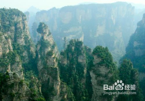 台湾到张家界旅游攻略