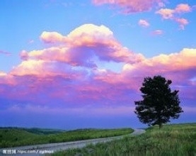 怎样写一份合格的实践报告