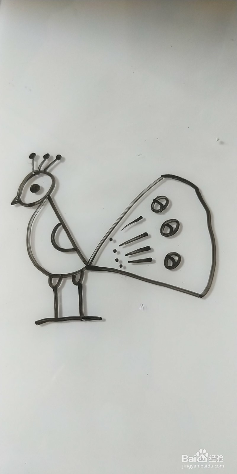 怎么画简笔画孔雀？