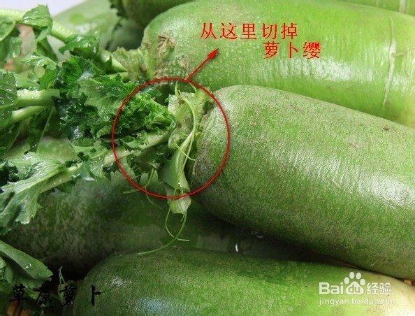 冬天三宝：[1]冬吃萝卜夏吃姜