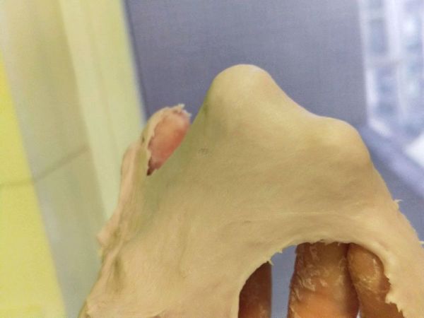 紫薯蜂蜜软欧包