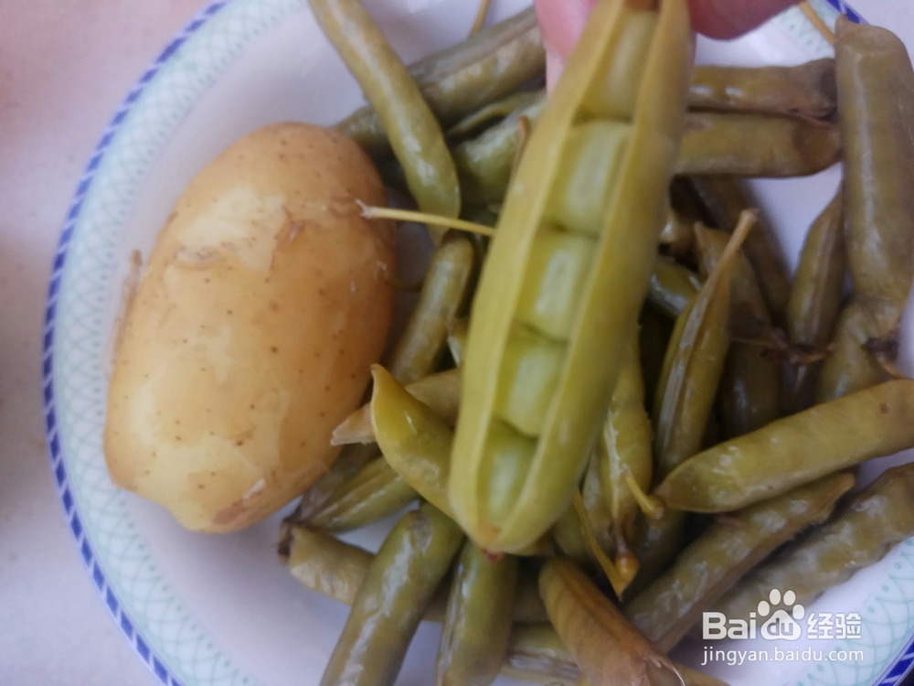 蒸蛋器的多功能用法