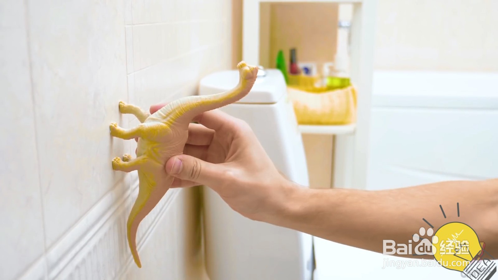 恐龙厕所挂纸，简单方便还实用