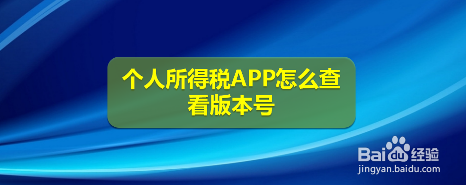 个人所得税APP怎么查看版本号