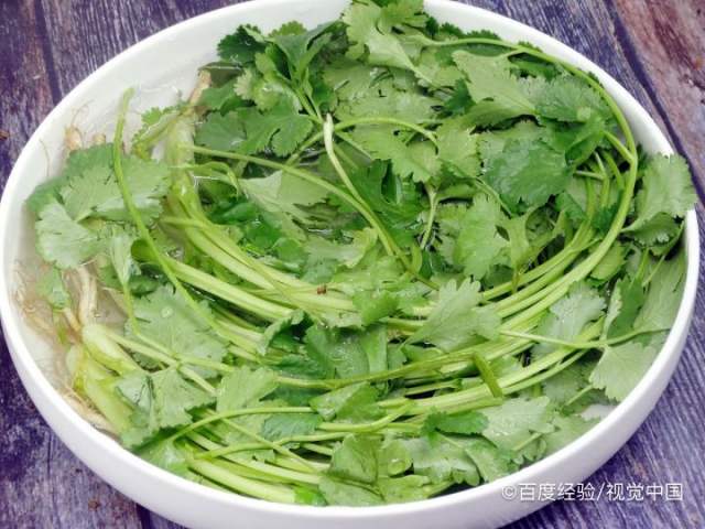 孕期能吃香菜吗（孕期能吃香菜么）[图]