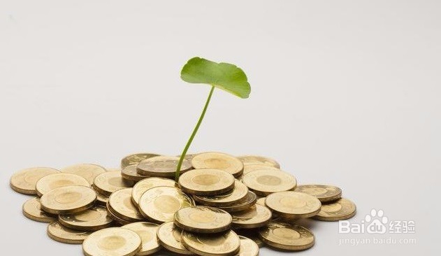 怎样进行个人理财规划