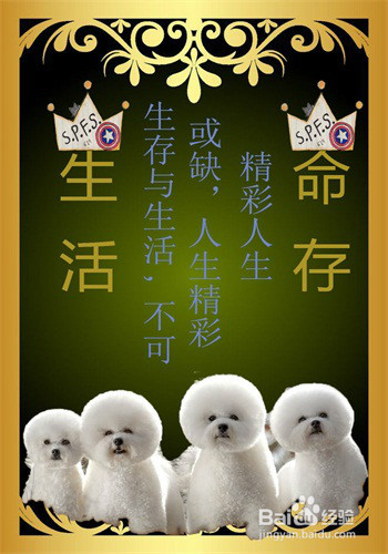 如何快速的学好Photoshop（ps）？