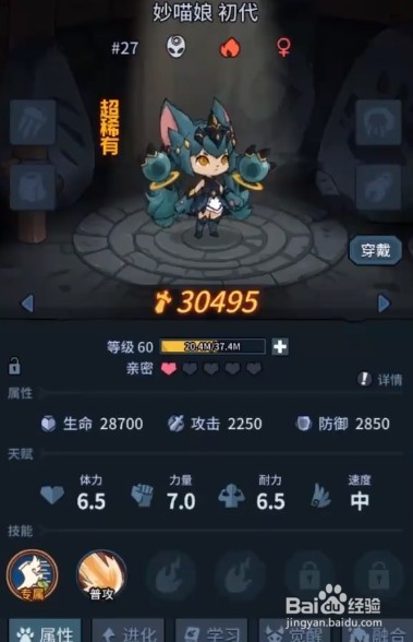 提灯与地下城珍奇宠物有什么用