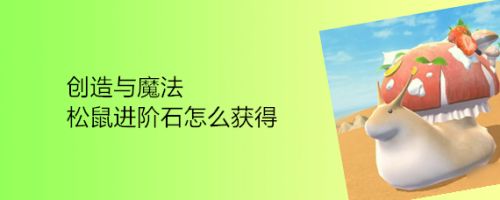 创造与魔法松鼠进阶石怎么获得
