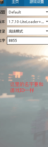 minecraft皮肤怎显示