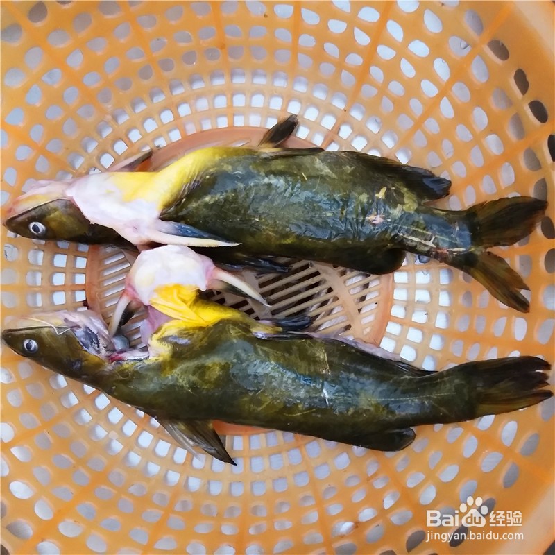 家常鱼汤的简单做法