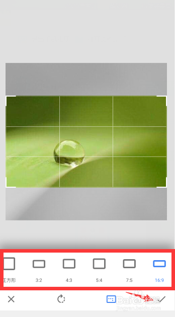 snapseed怎么裁剪图片