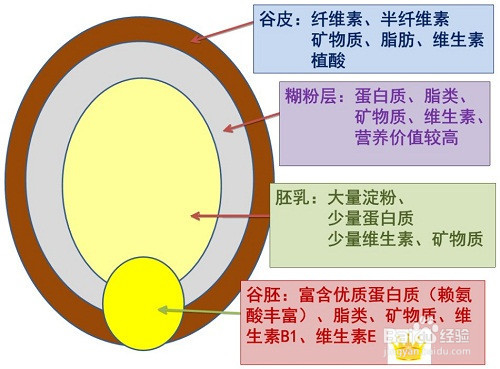 大米有什么营养价值